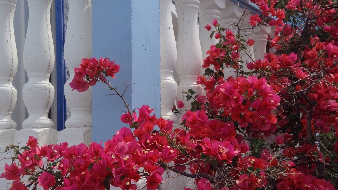 Photo of Patio Balcony in Marathokampos