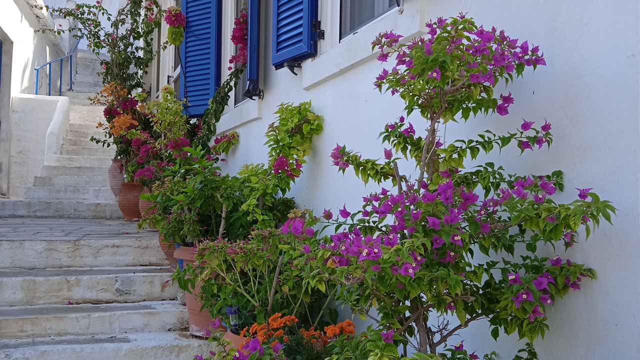 Photo of Outdoor in Ikaria