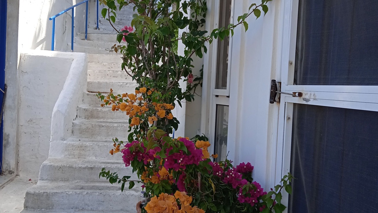 Photo of Outdoor in Ikaria