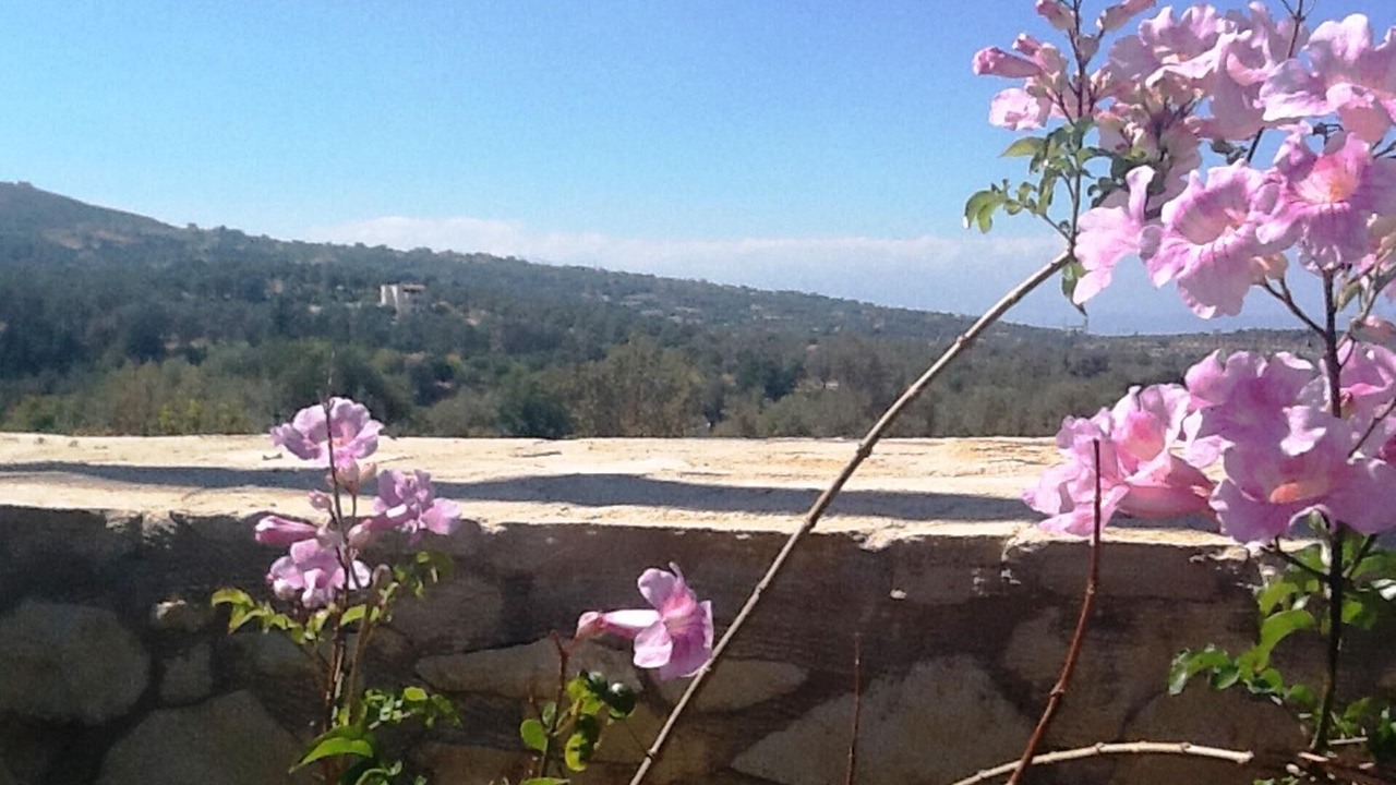 Photo of Outdoor in Houdetsi
