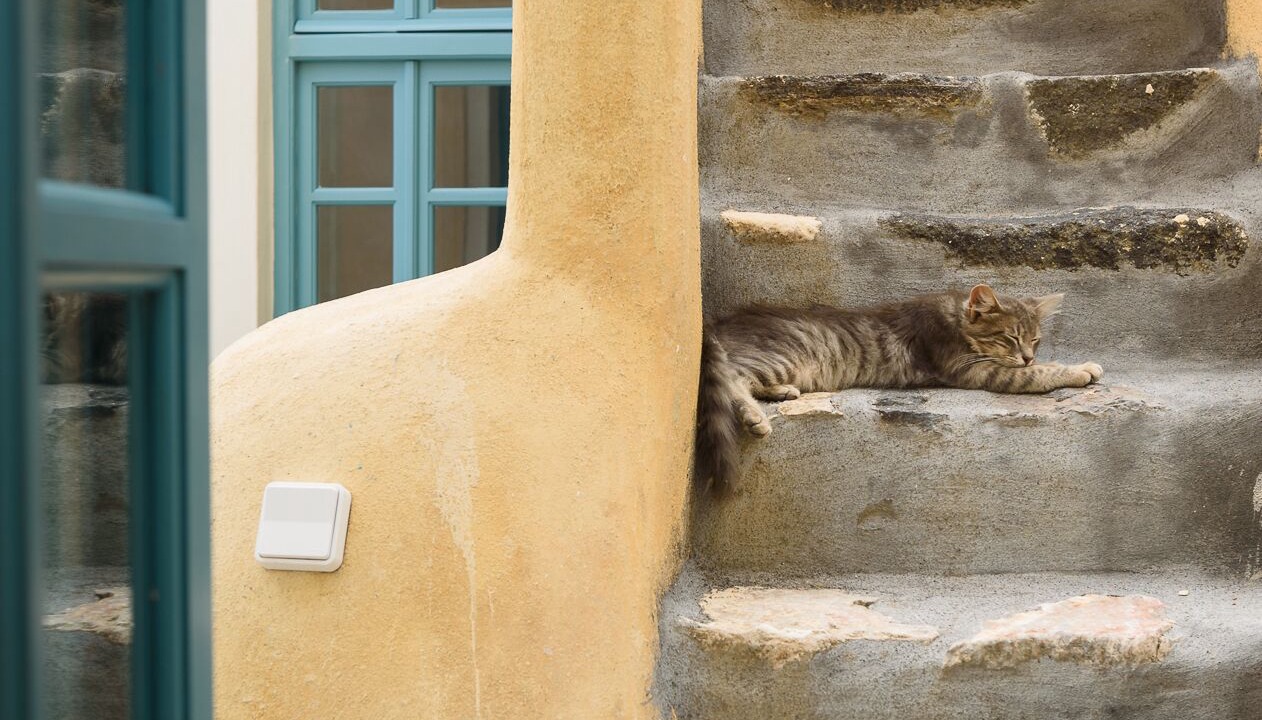 Photo of Others in Santorini