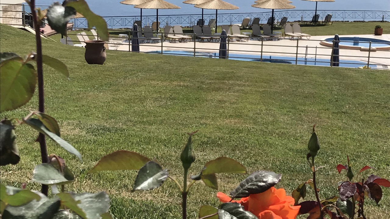 Photo of Outdoor in Afytos