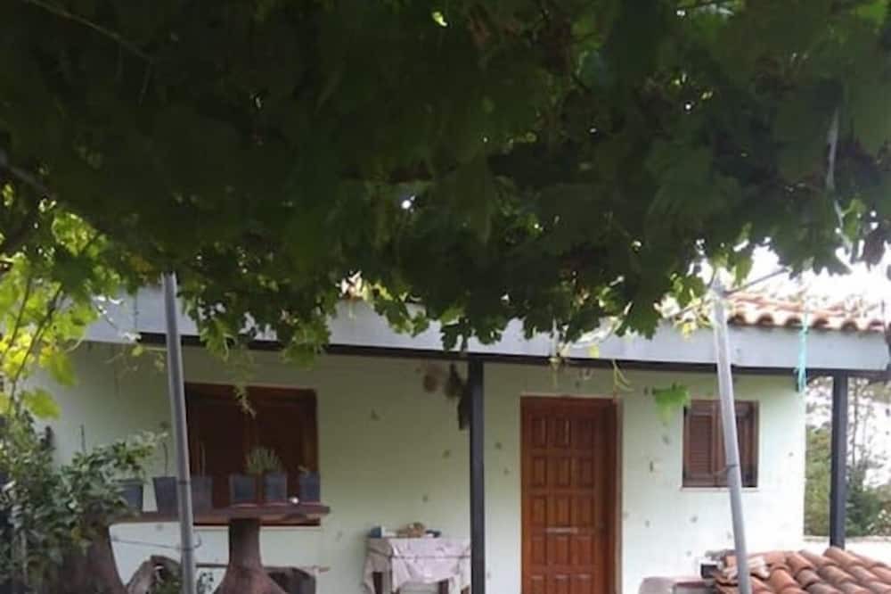 Photo of Outdoor in Archaia Olympia