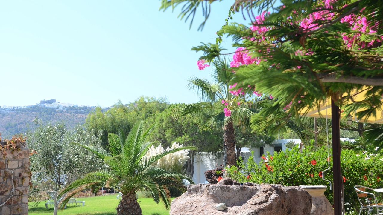 Photo of Outdoor in Skala