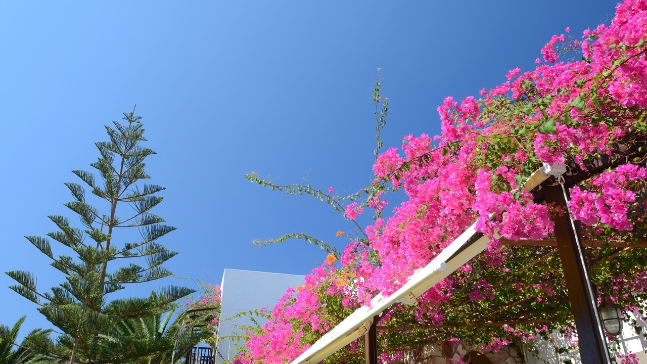 Photo of Outdoor in Skala
