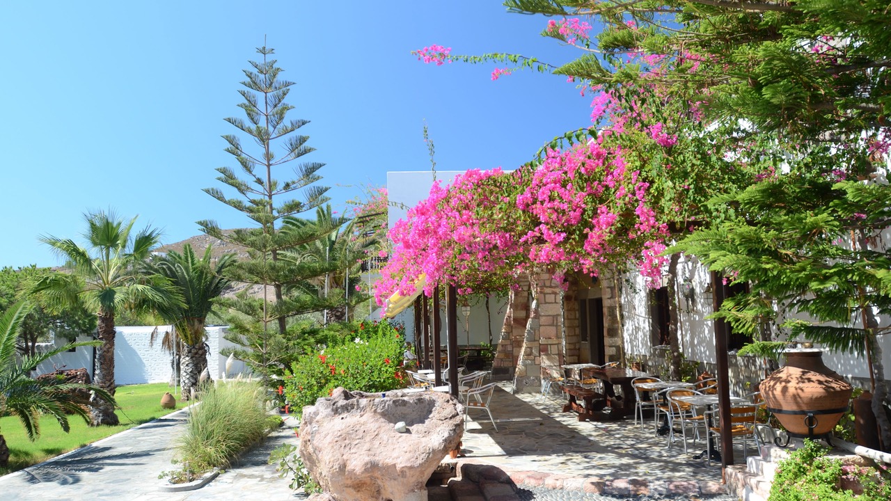 Photo of Outdoor in Skala