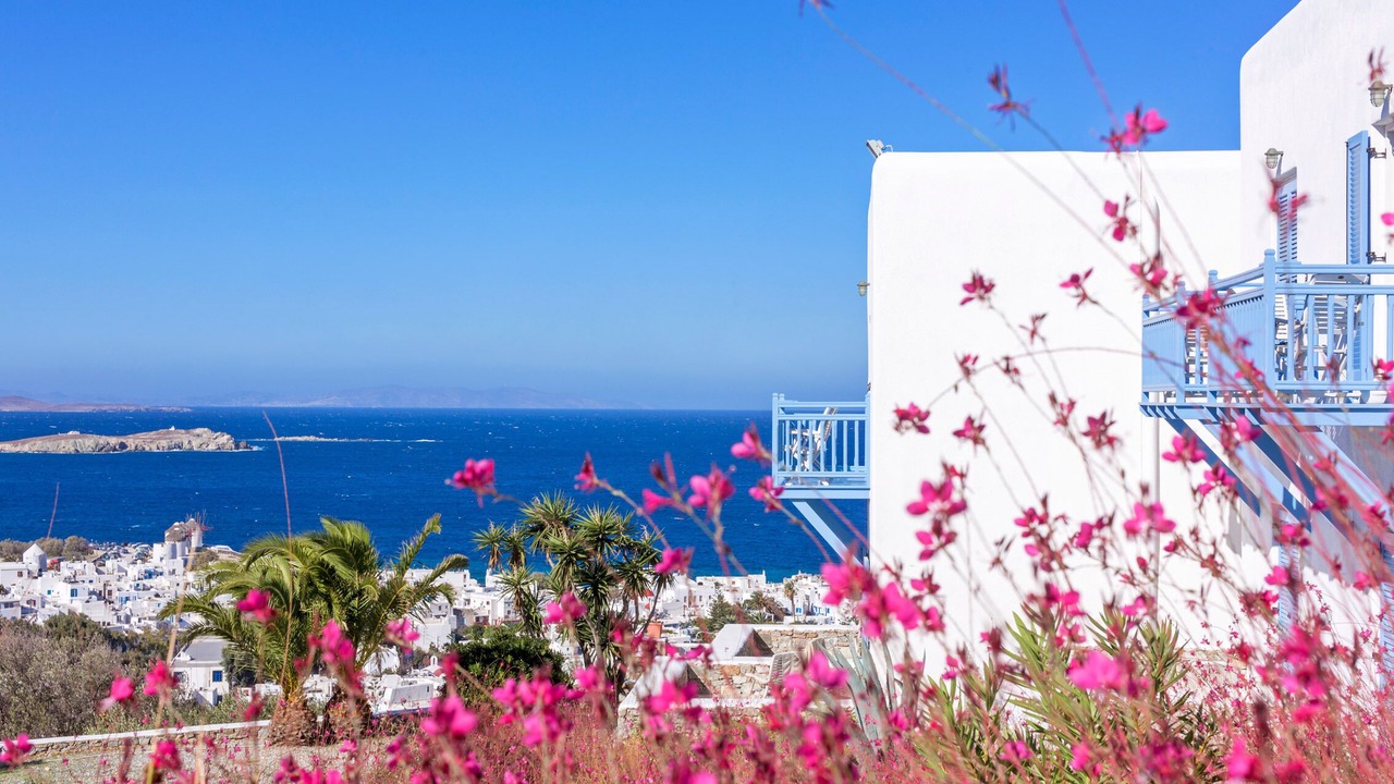 Photo of Others in Mykonos Town