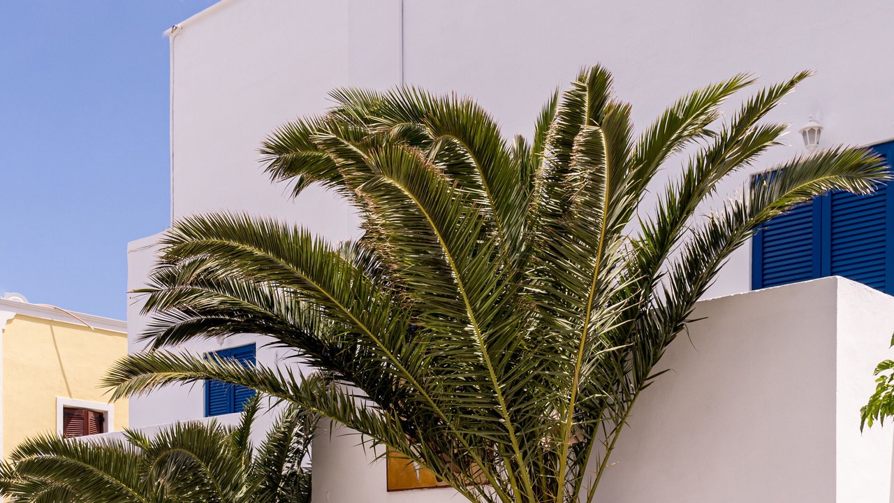 Photo of Outdoor in Karterados