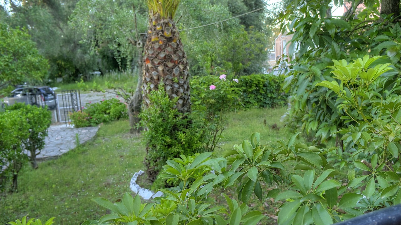 Photo of Patio Balcony in Benitses
