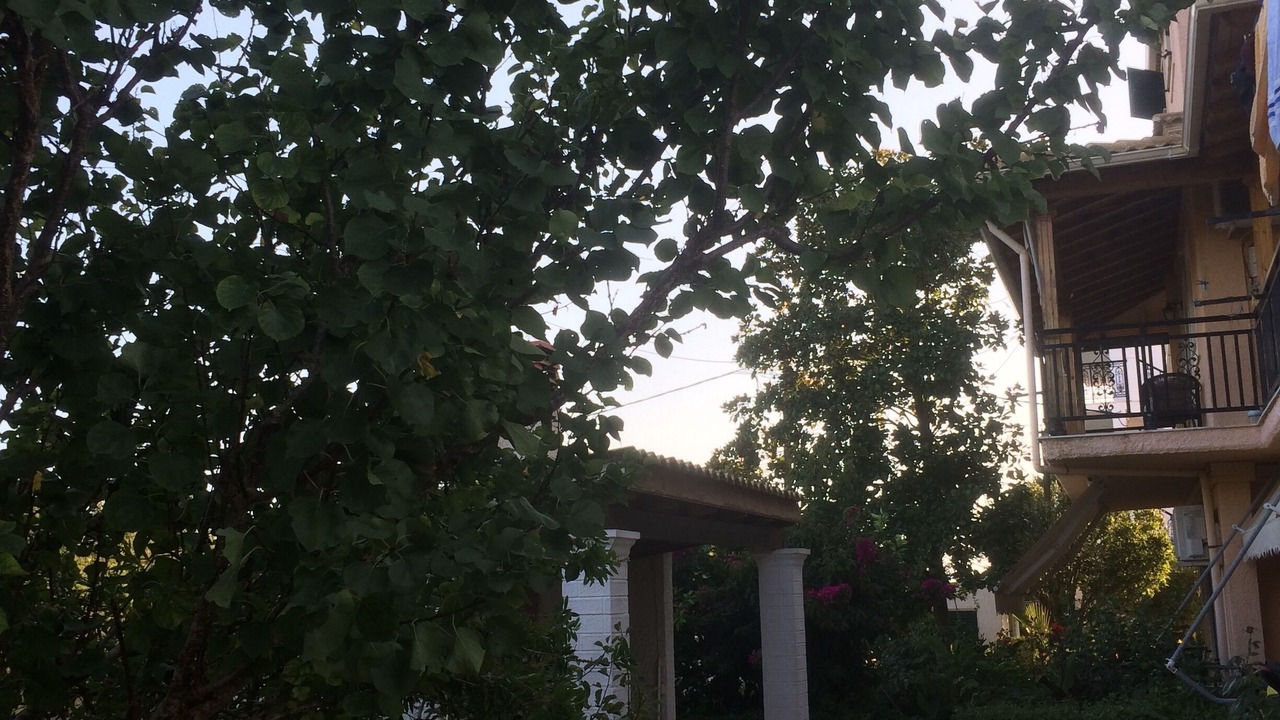 Photo of Outdoor in Ag. Georgios