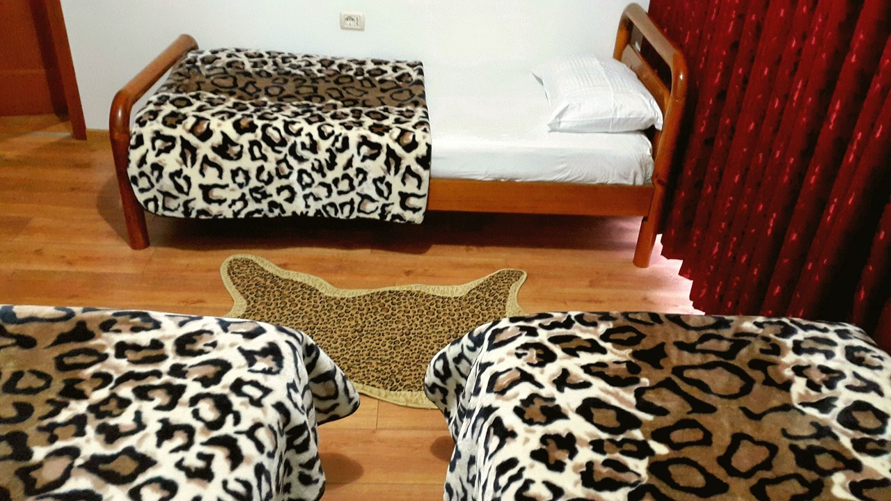 Photo of Bedroom in Permet