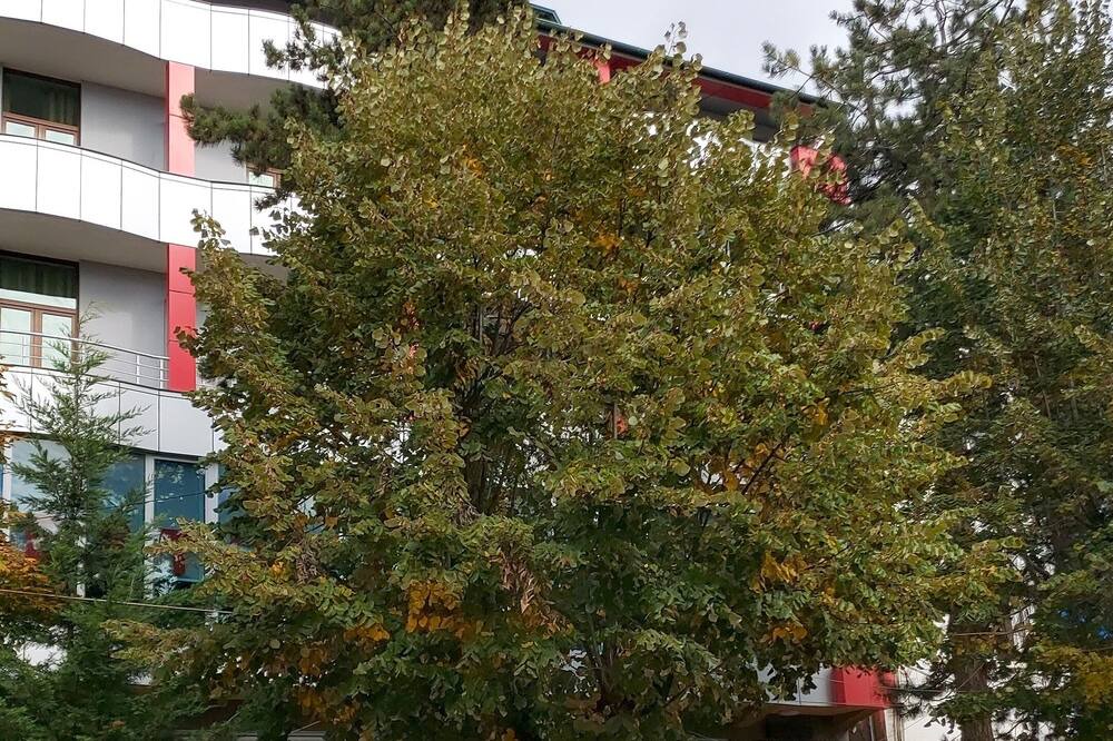 Photo of Outdoor in Peshkopi
