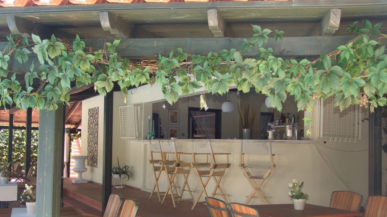 Photo of Outdoor in Afytos