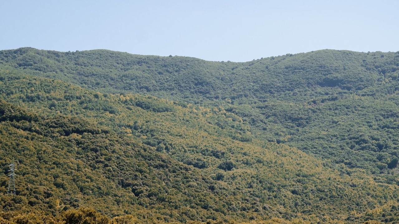 Photo of Others in Volvi
