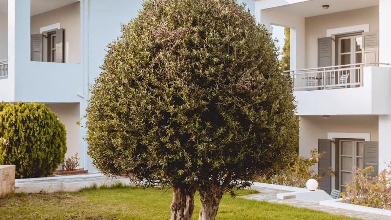 Photo of Outdoor in Hersonissos Centre