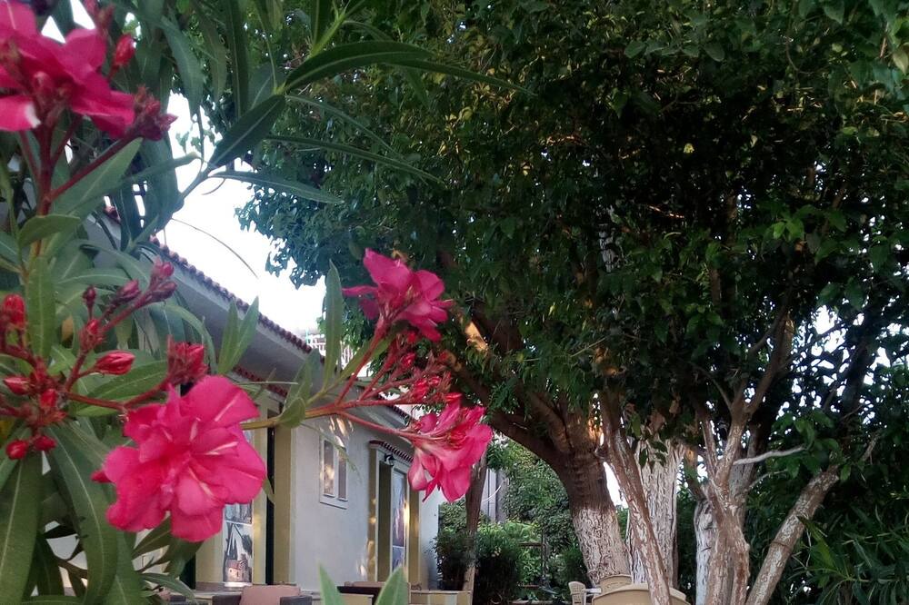 Photo of Outdoor in Mytilene