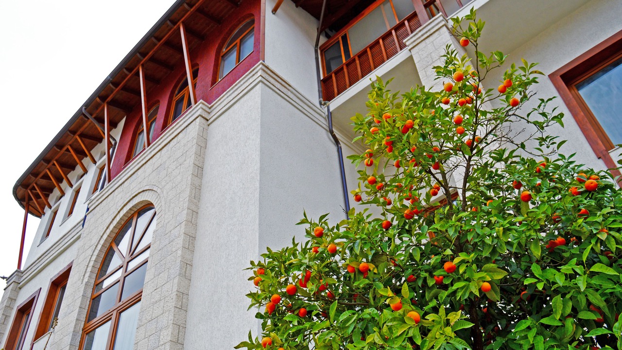 Photo of Outdoor in Gjirokaster