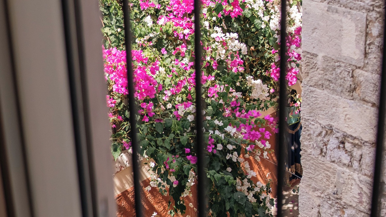 Photo of Others in Old Town Rethymnon