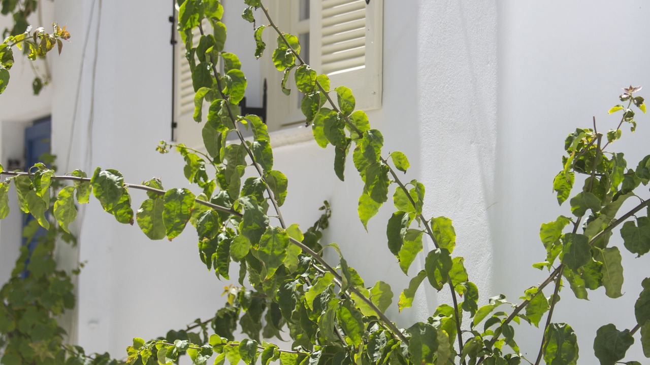 Photo of Patio Balcony in Old Town Naxos