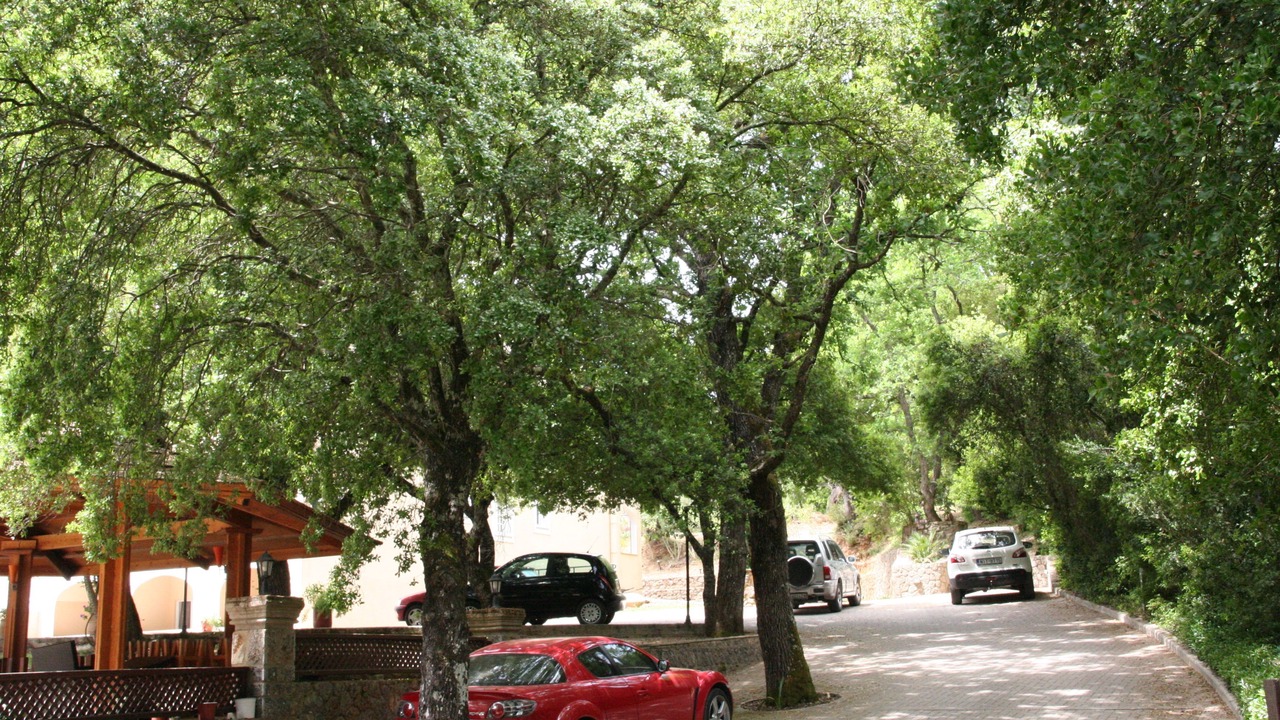 Photo of Others in Tzavros
