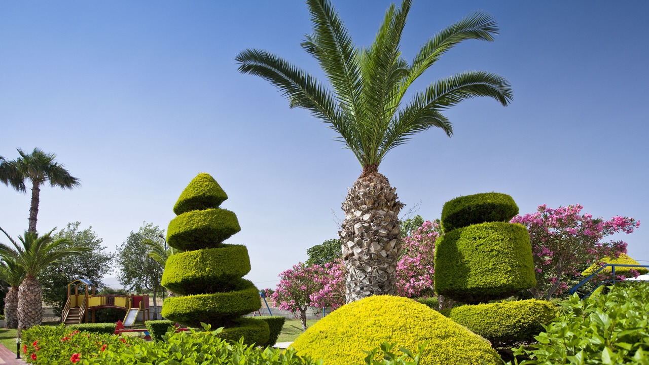 Photo of Outdoor in Tingaki