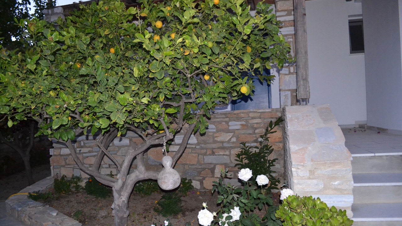 Photo of Outdoor in Ios Town