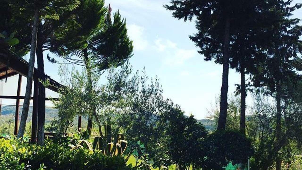 Photo of Outdoor in Farke