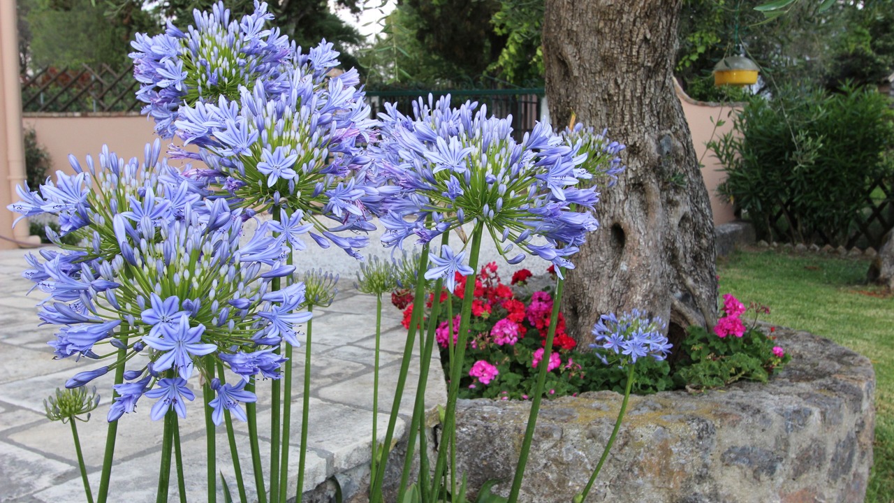 Photo of Outdoor in Corfu Town