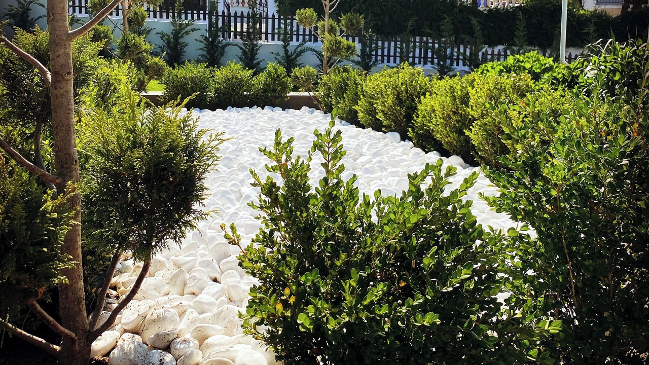Photo of Outdoor in Skiathos