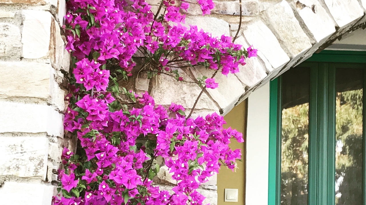 Photo of Outdoor in Ikaria