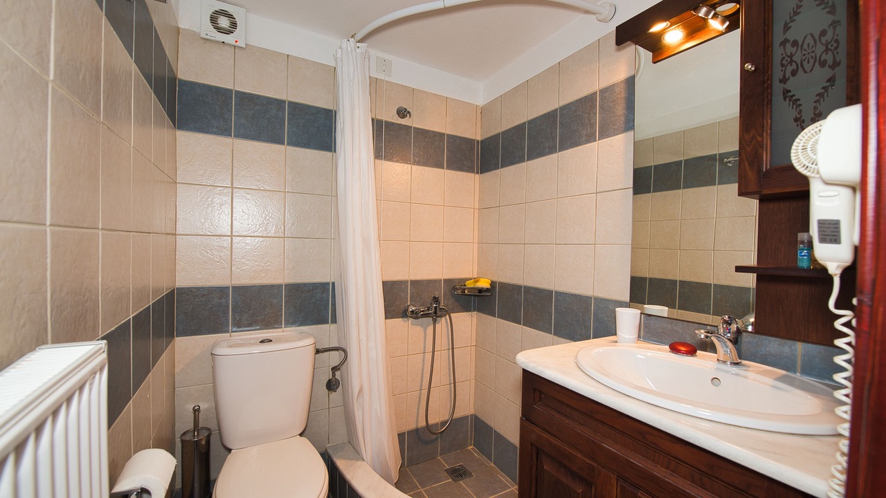 Photo of Bathroom in Milies