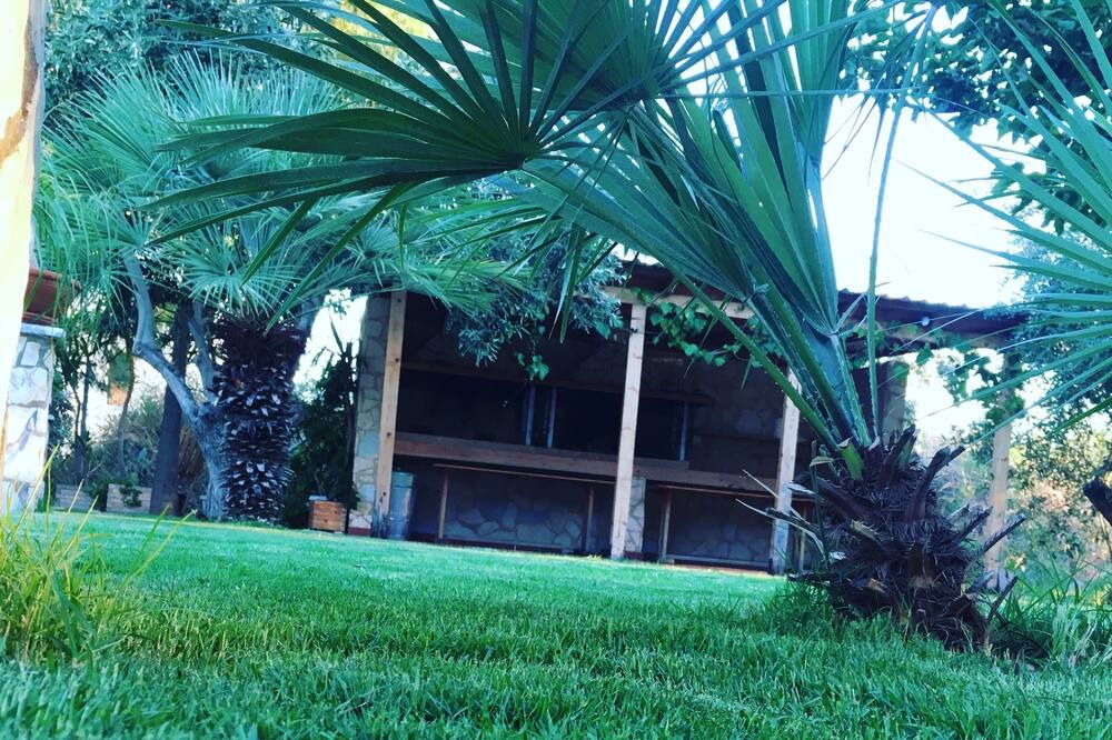Photo of Outdoor in Astros