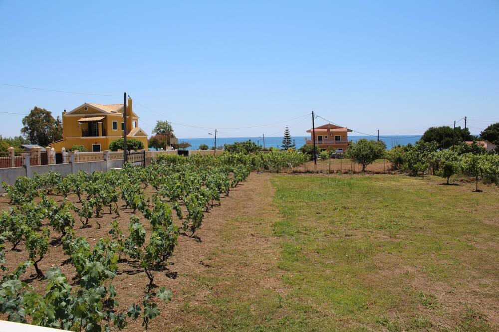 Photo of Others in Agios Matthaios
