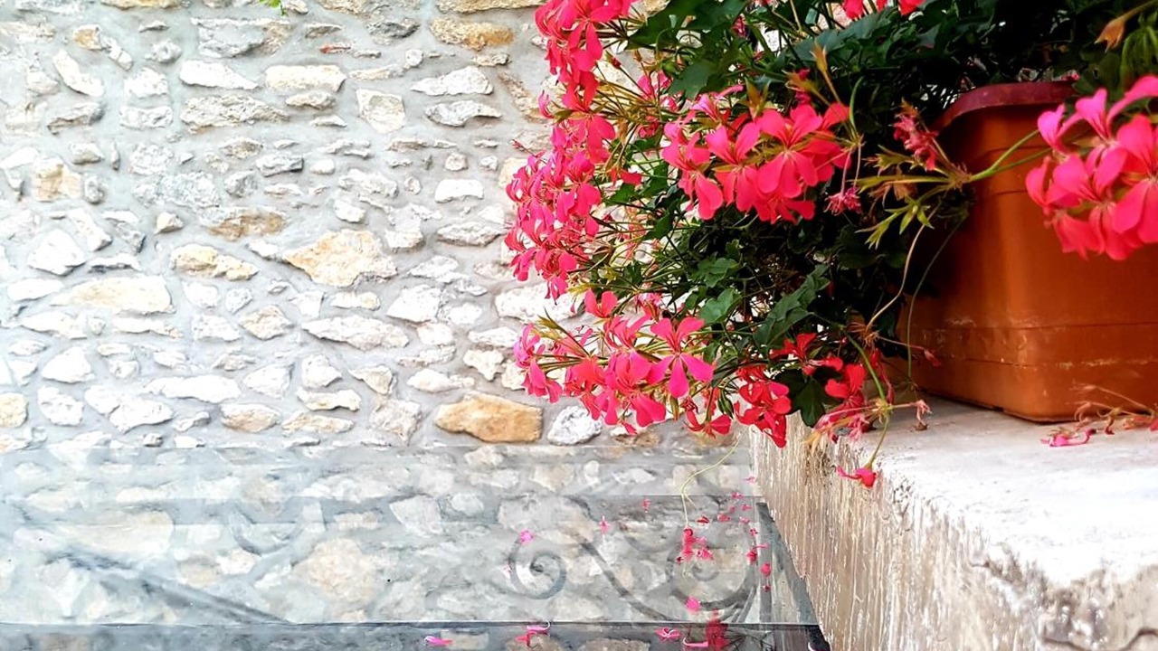 Photo of Outdoor in Korce