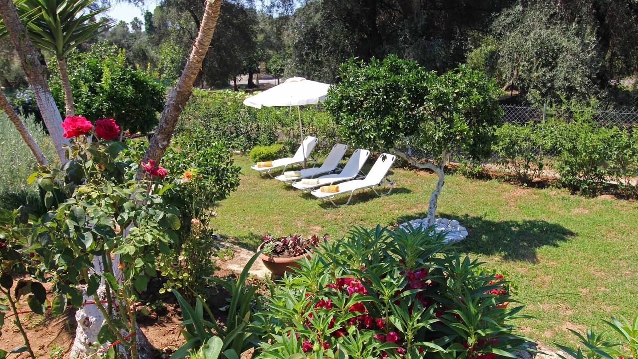 Photo of Outdoor in Petaleia