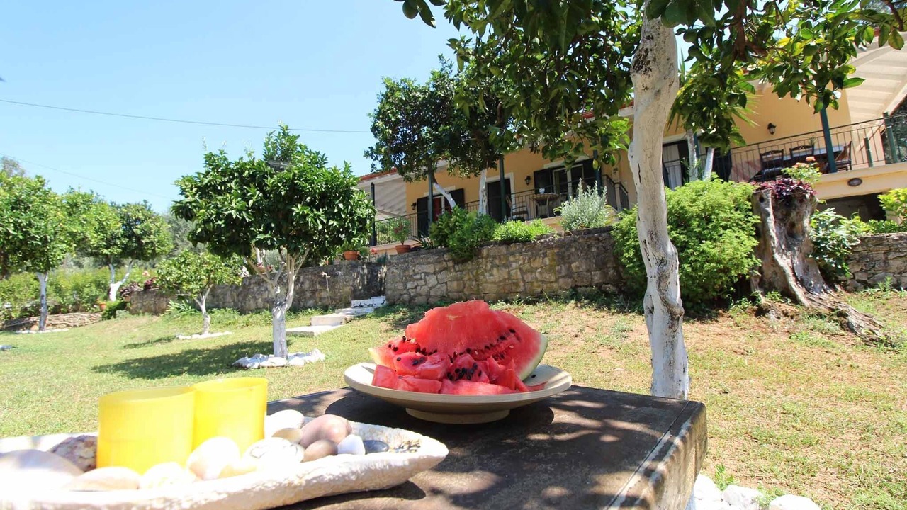 Photo of Outdoor in Petaleia