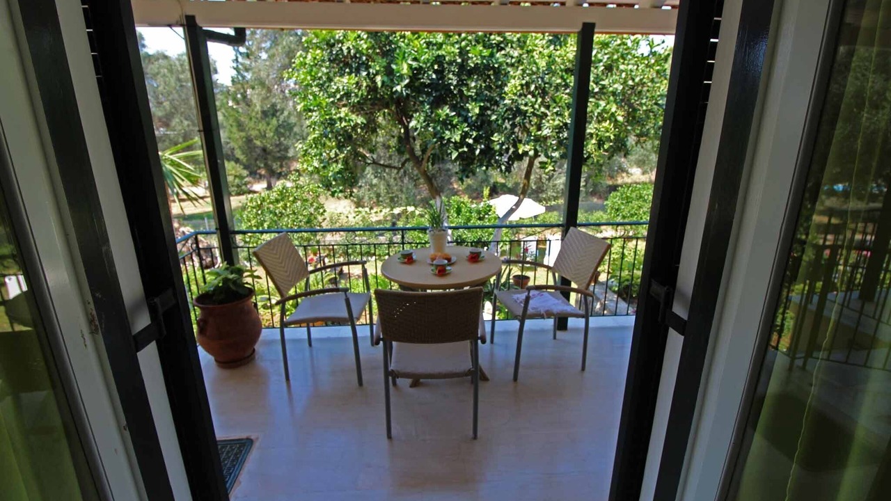 Photo of Outdoor in Petaleia
