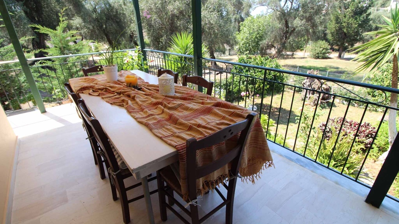 Photo of Outdoor in Petaleia