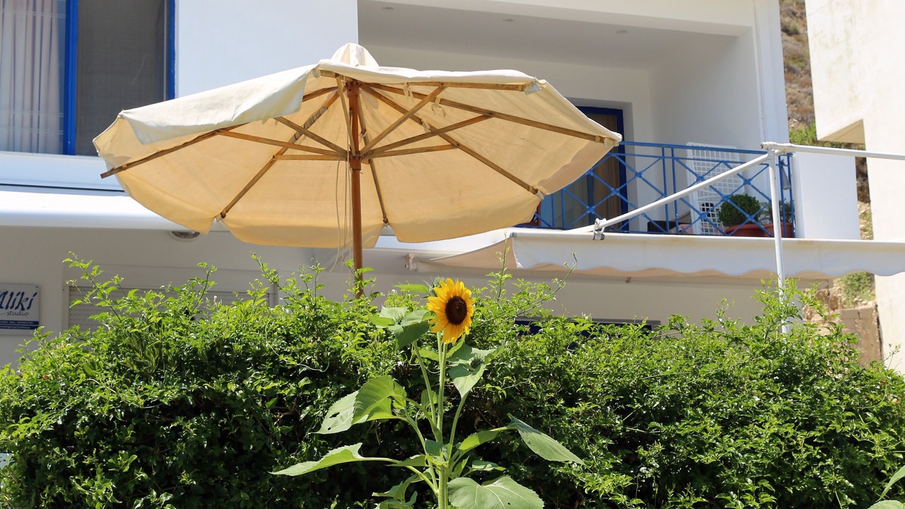 Photo of Outdoor in Paralia Agias Fotinis