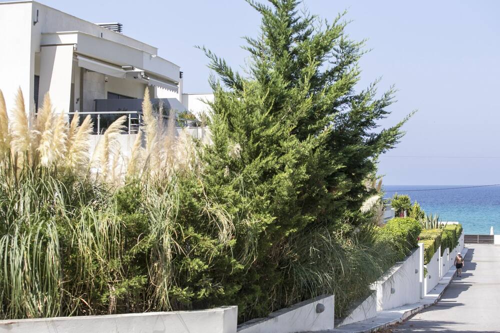 Photo of Outdoor in Kassandra