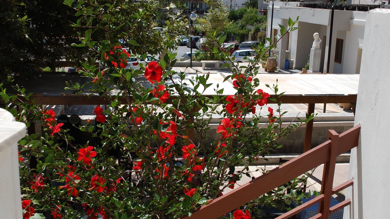 Photo of Outdoor in Pefki