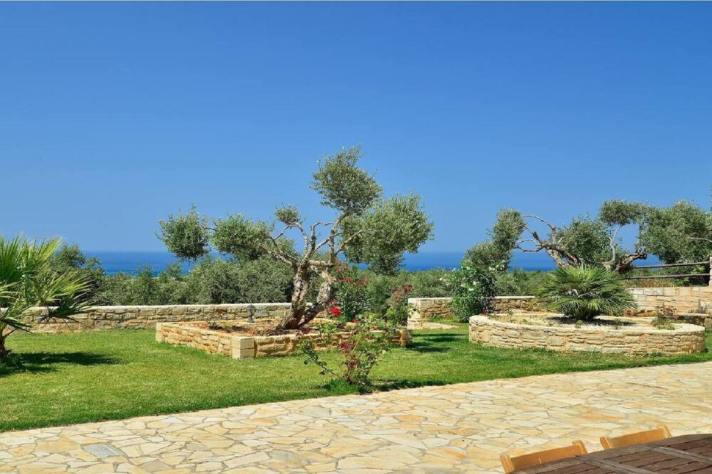 Photo of Others in Platanias