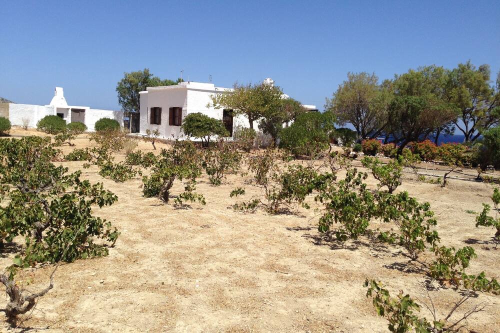Photo of Outdoor in Naxos