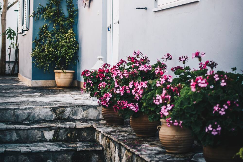 Photo of Outdoor in Kato Achaia