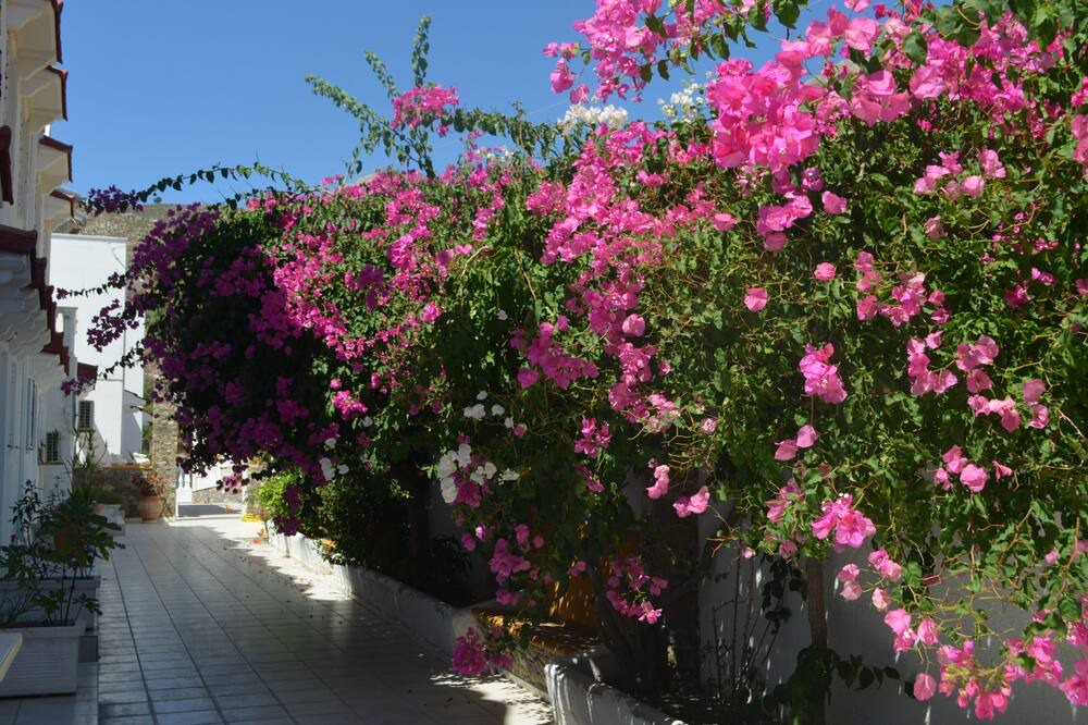 Photo of Outdoor in Livadia