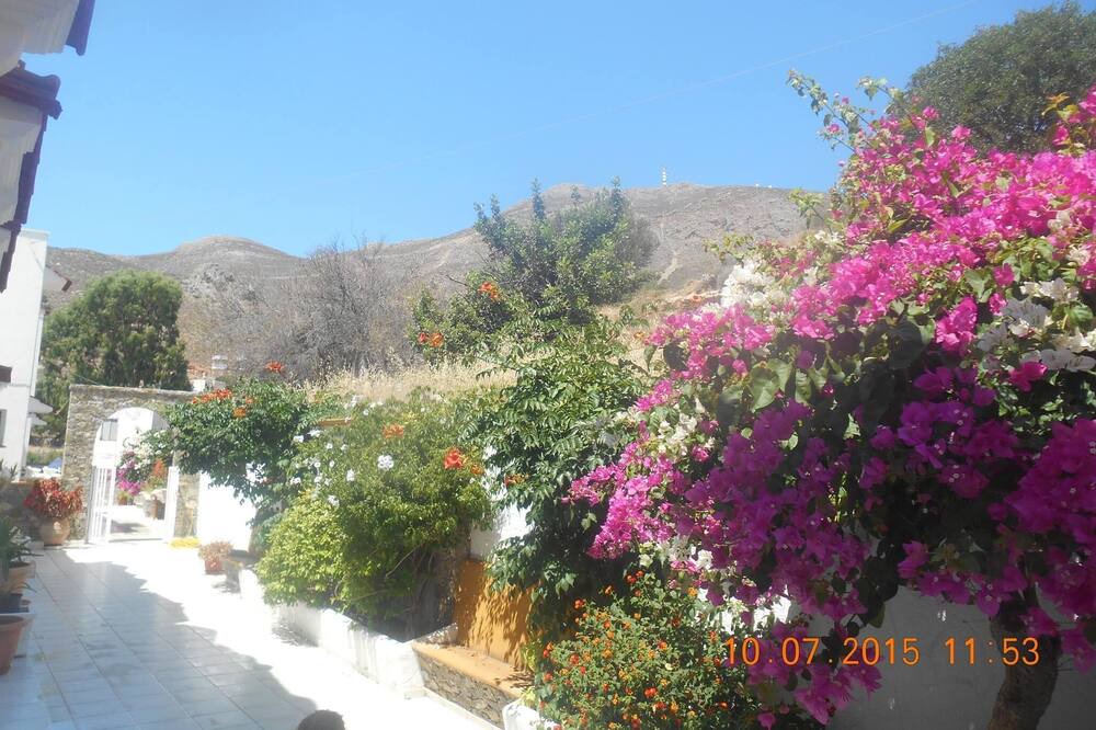 Photo of Outdoor in Livadia