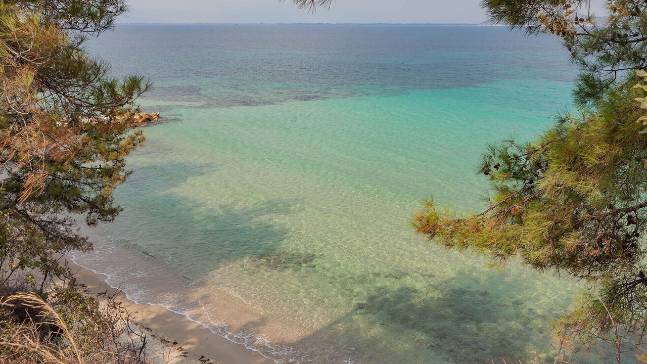 Photo of Others in Thasos Town