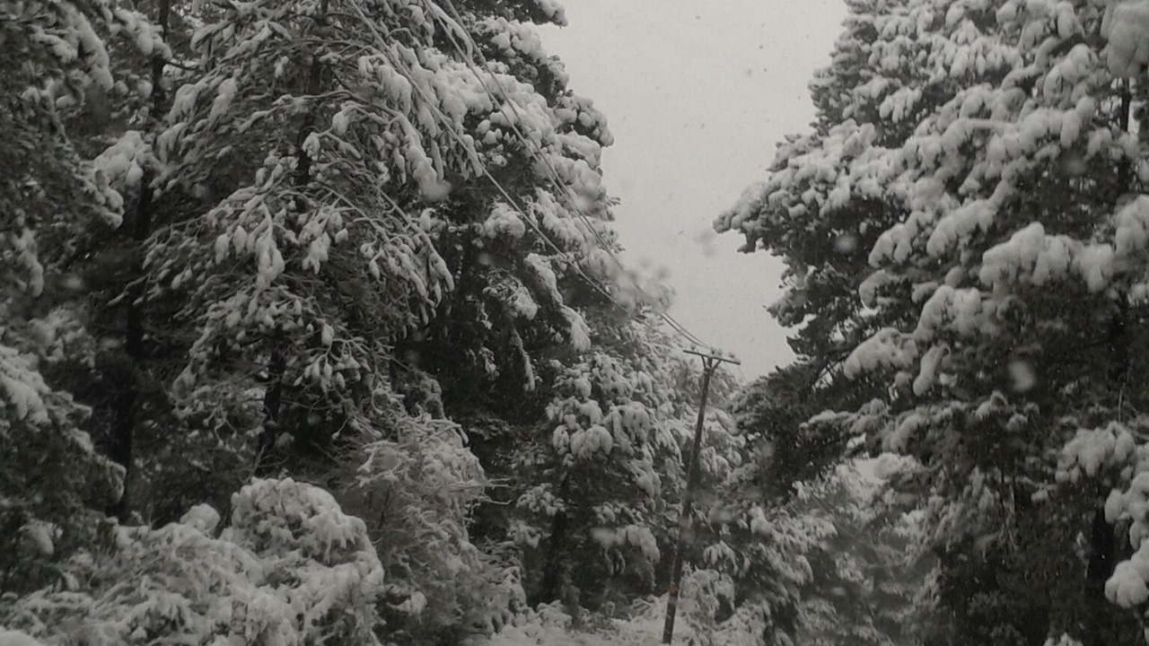 Photo of Outdoor in Himare