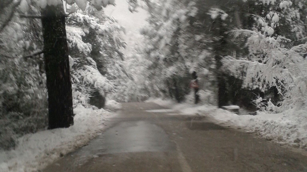 Photo of Outdoor in Himare