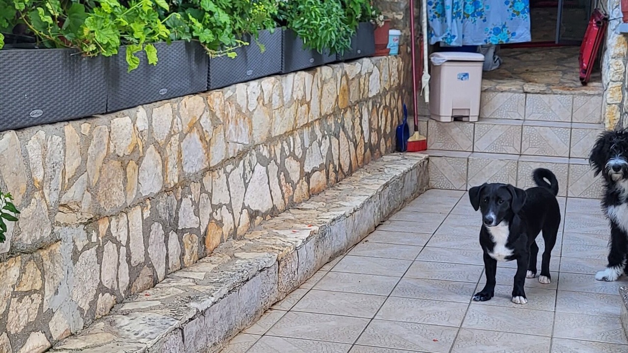 Photo of Patio Balcony in Himare